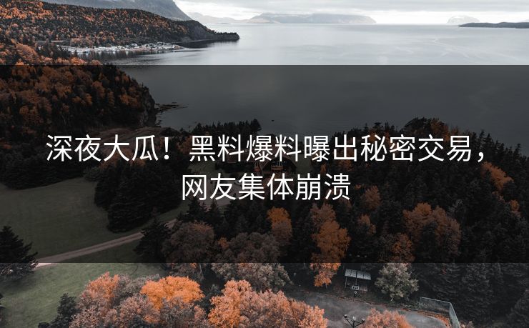 深夜大瓜！黑料爆料曝出秘密交易，网友集体崩溃