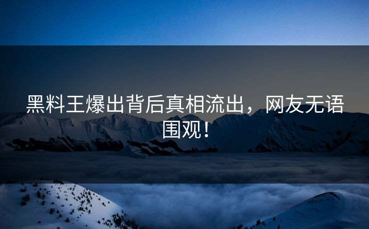 黑料王爆出背后真相流出，网友无语围观！