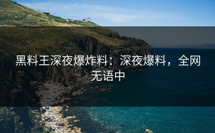 黑料王深夜爆炸料：深夜爆料，全网无语中