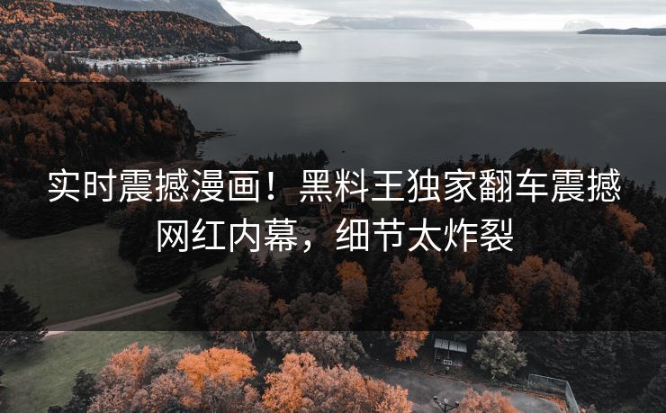 实时震撼漫画！黑料王独家翻车震撼网红内幕，细节太炸裂