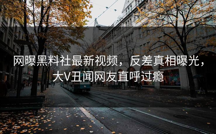 网曝黑料社最新视频，反差真相曝光，大V丑闻网友直呼过瘾