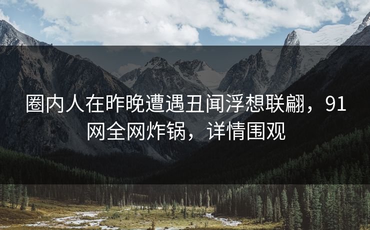 圈内人在昨晚遭遇丑闻浮想联翩，91网全网炸锅，详情围观