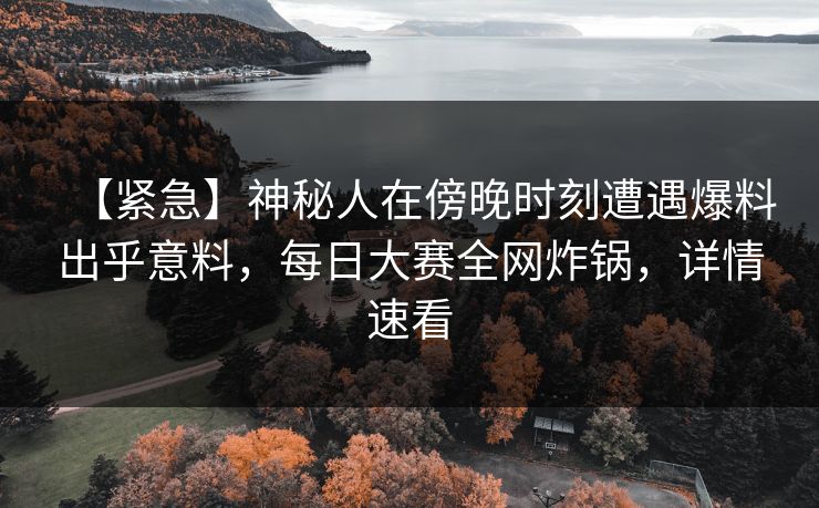 【紧急】神秘人在傍晚时刻遭遇爆料出乎意料，每日大赛全网炸锅，详情速看