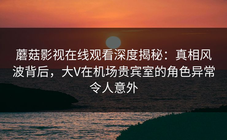 蘑菇影视在线观看深度揭秘：真相风波背后，大V在机场贵宾室的角色异常令人意外