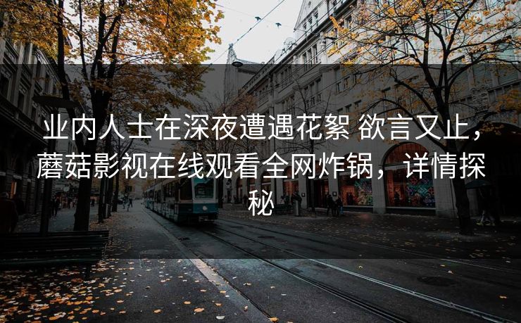 业内人士在深夜遭遇花絮 欲言又止，蘑菇影视在线观看全网炸锅，详情探秘