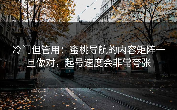 冷门但管用：蜜桃导航的内容矩阵一旦做对，起号速度会非常夸张
